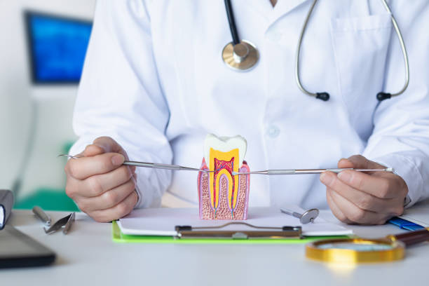 Best Emergency Dental Extractions in Elm Creek, TX